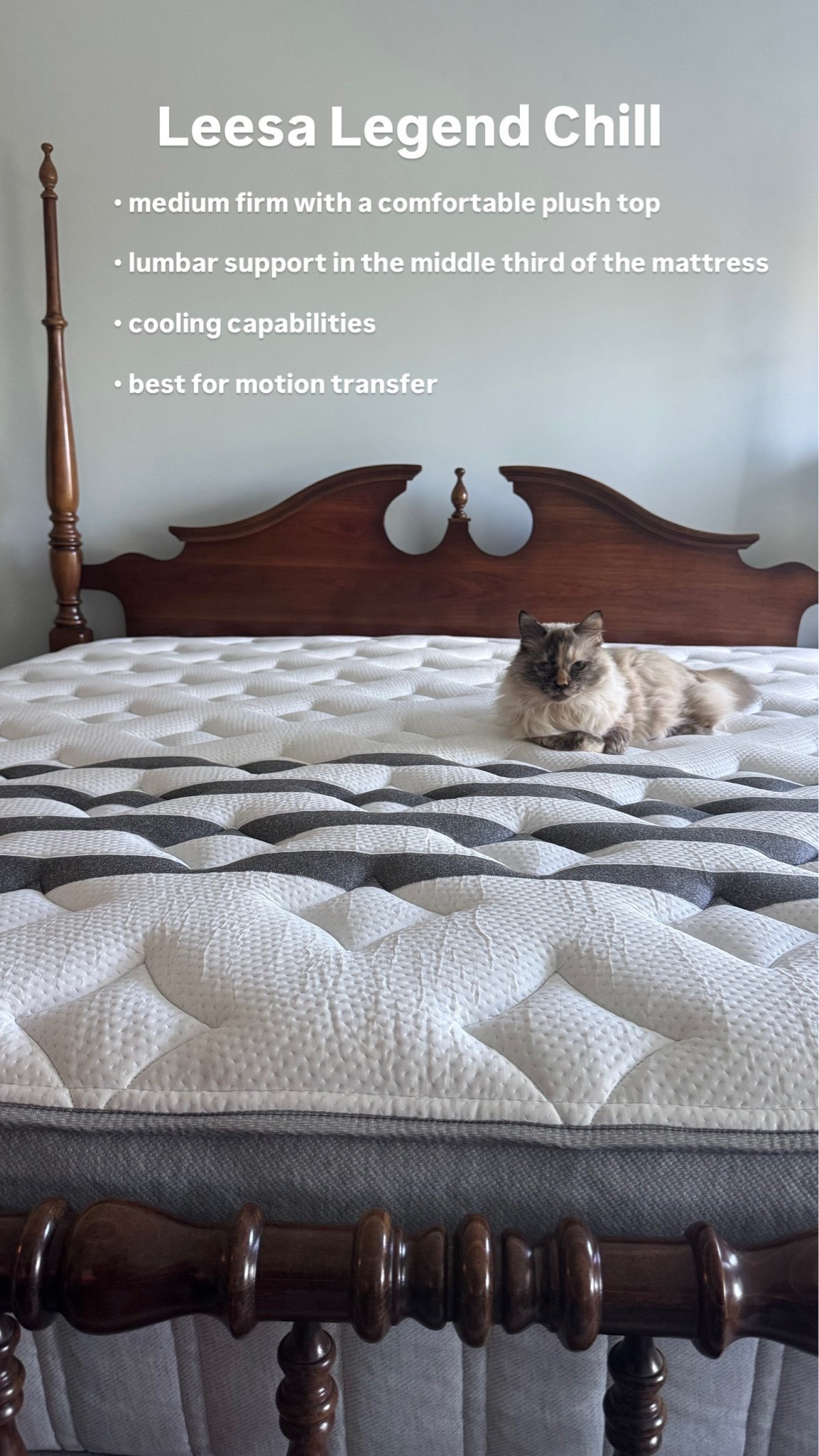 My team member, Caitlin needed a new mattress so she snagged the Leesa ‘Legend Chill’ - it’s a bit more medium-firm and supportive than the one I have (Sapira Hybrid Chill) but still has a super plush top and is super comfy! @leesasleep #leesapartner