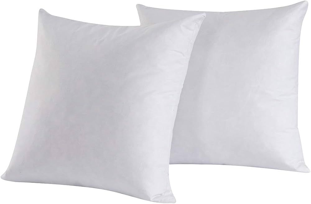 HOMESJUN Set of 2, 95% Feather 5% Down Square Decorative Throw Pillow Insert, Cotton Cover, 16x16... | Amazon (US)