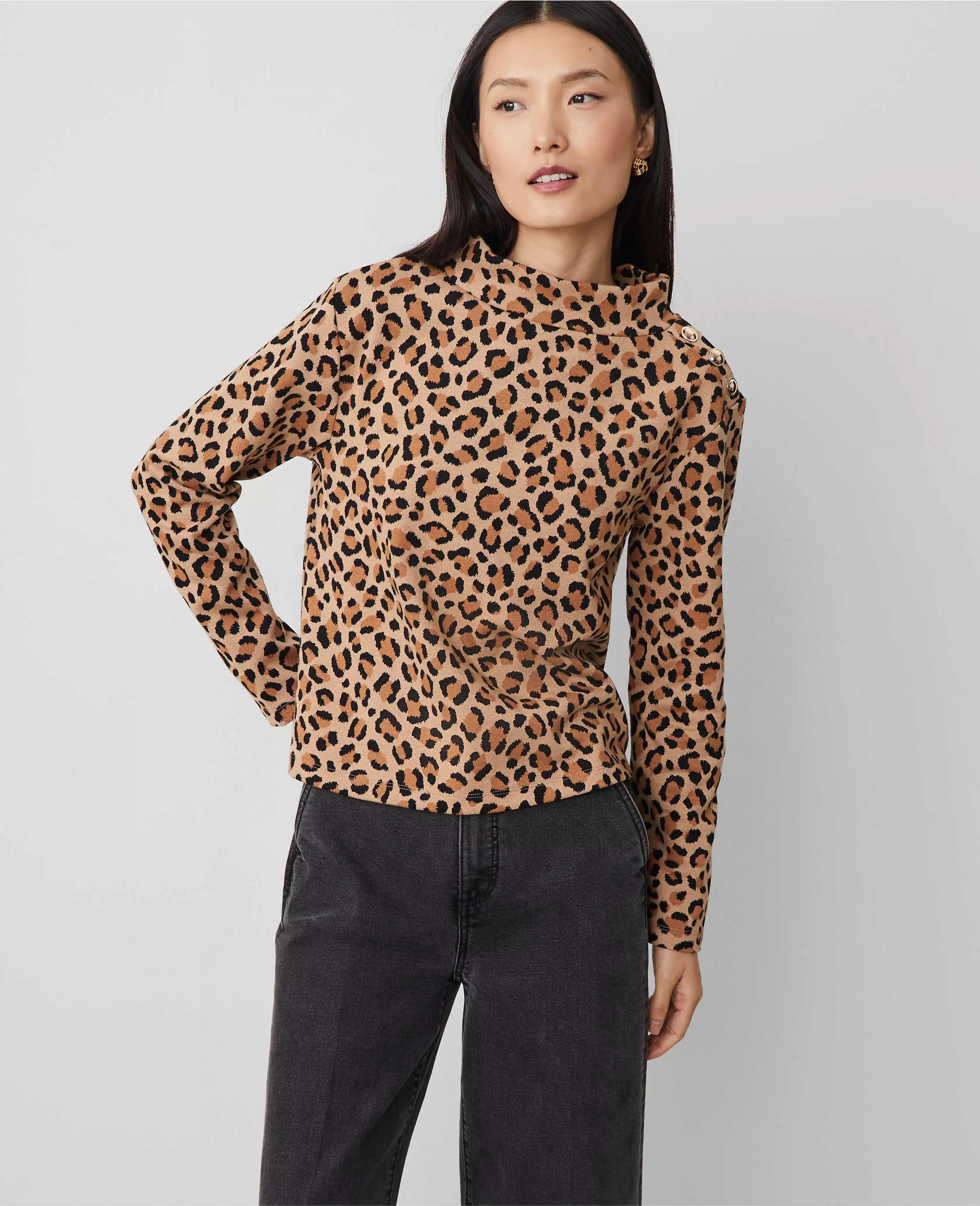 Animal Print Mock Neck Top | Ann Taylor (US)