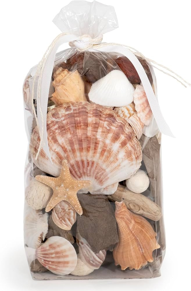 ANDALUCA Seashells, Starfish Driftwood Fragrance Potpourri Vase & Bowl Filler Decor (Coral Beach) | Amazon (US)