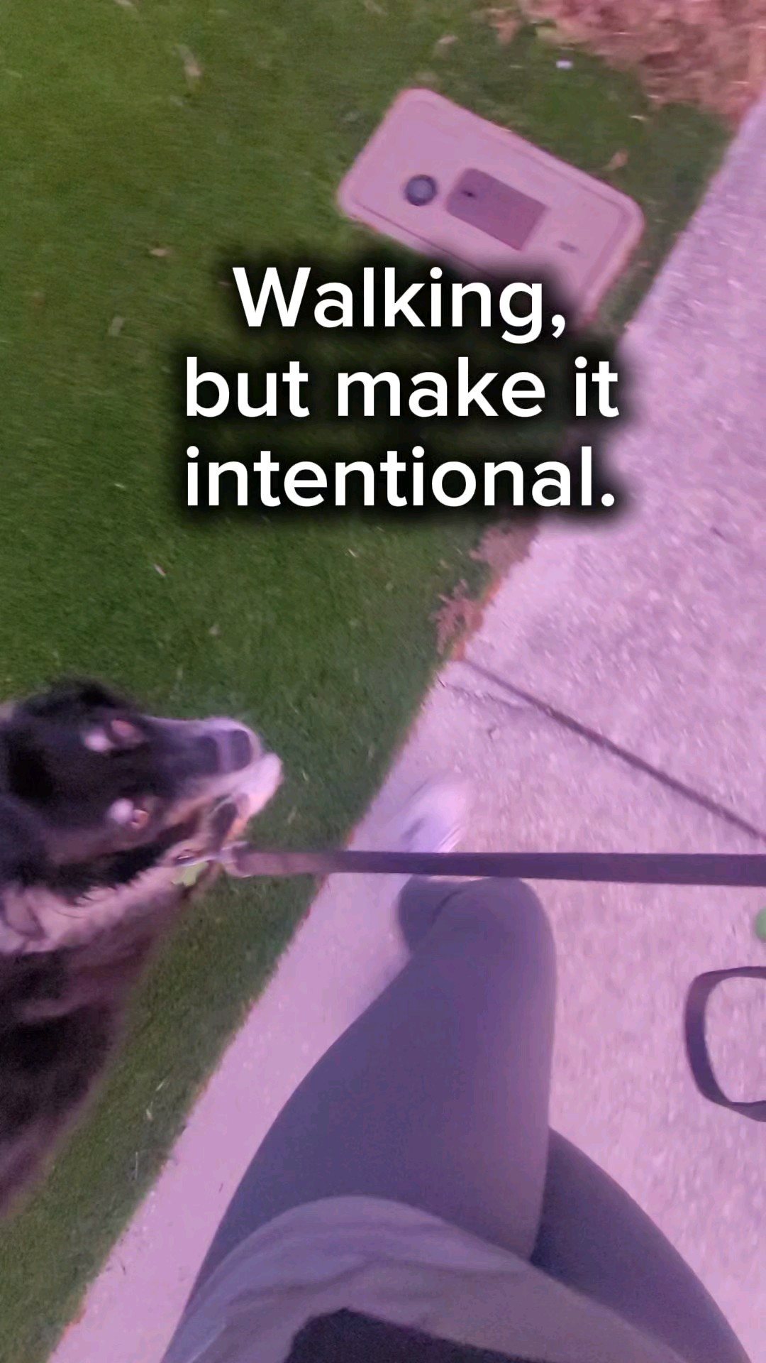 Same walk. Same weighted vest. Different reminder 🌅🐾Most mornings, it’s just me, the hubby, the dogs, and a Florida sunrise — and this simple routine has been one of the biggest gifts I’ve given myself.Walking with intention, building strength over time, and choosing consistency over perfection is how I lost 15 lbs and kept it off 💪✨If you’re a busy mom who wants results without overthinking it… start here.Weighted vest + walk outfit linked 🤍 #BusyMomFitness #WeightedVestWalking #MomOver40 #WalkingForHealth #StrongNotSkinny #FloridaMornings #LTKActive #RealLifeFitness

#LTKfitnessgoals #LTKmorningroutine #LTKOver40