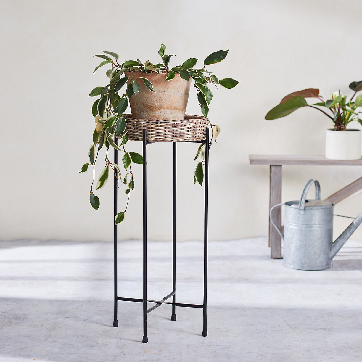 Wicker Basket Iron Plant Stand | Terrain