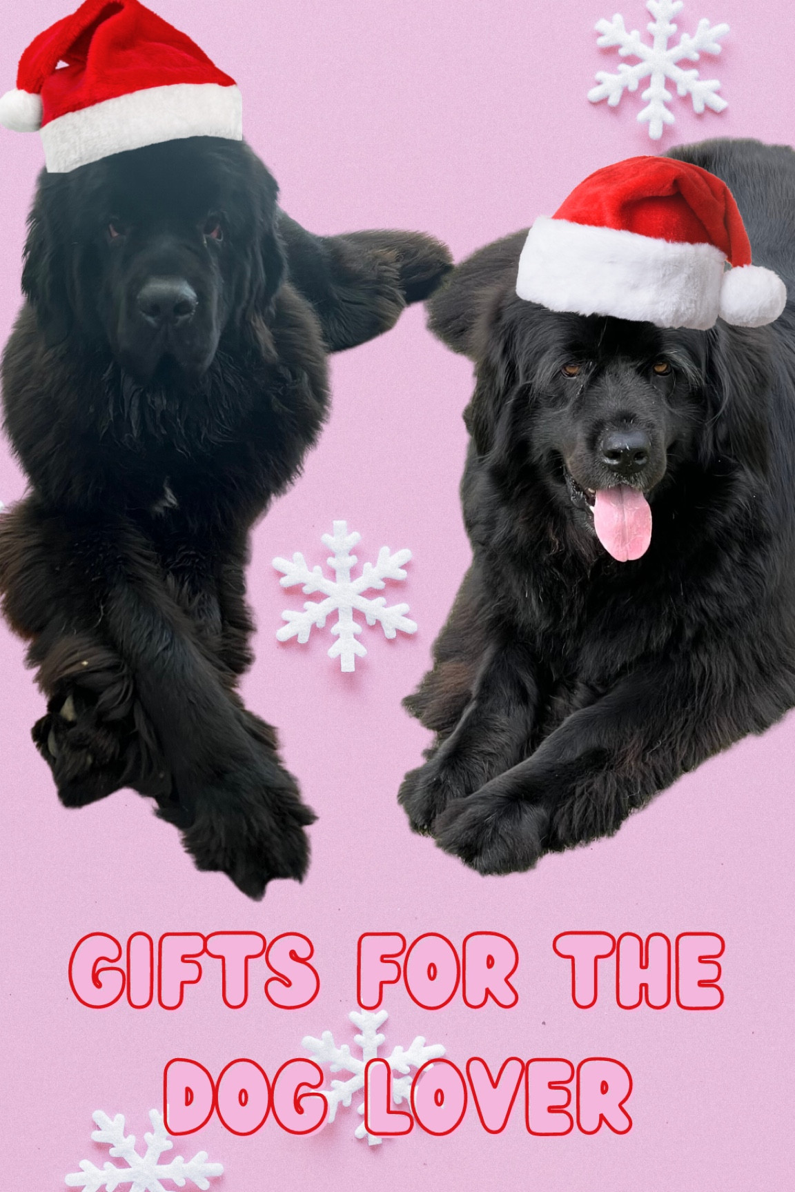 #ltkpets #tiktok #ltkdog

#LTKGiftGuide #LTKHoliday #LTKSeasonal