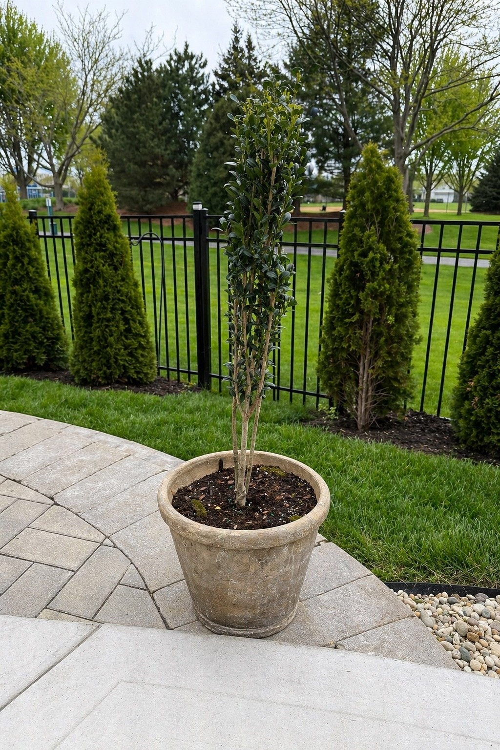 DIY Aged Concrete Planters — Under $30 in Materials

#LTKvlog #LTKSeasonal #LTKHome