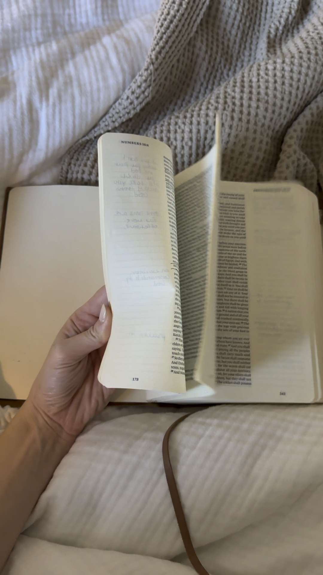 my favorite bible ive been using for 3 years so far! 

#LTKTravel #LTKHoliday #LTKBaby