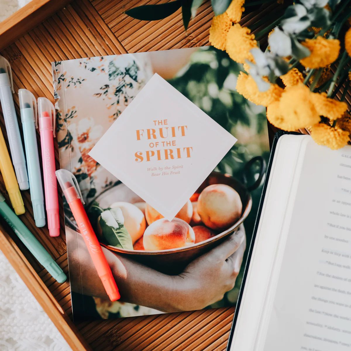 The Fruit of the Spirit | Study | The Daily Grace Co.