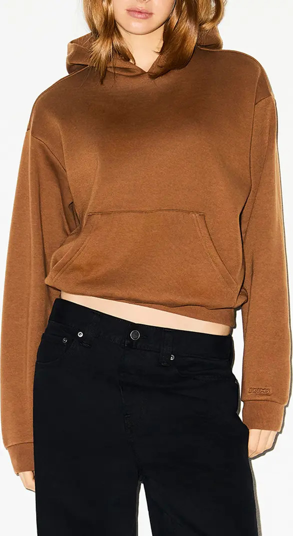 Cotton Fleece Blend Classic Hoodie | Nordstrom