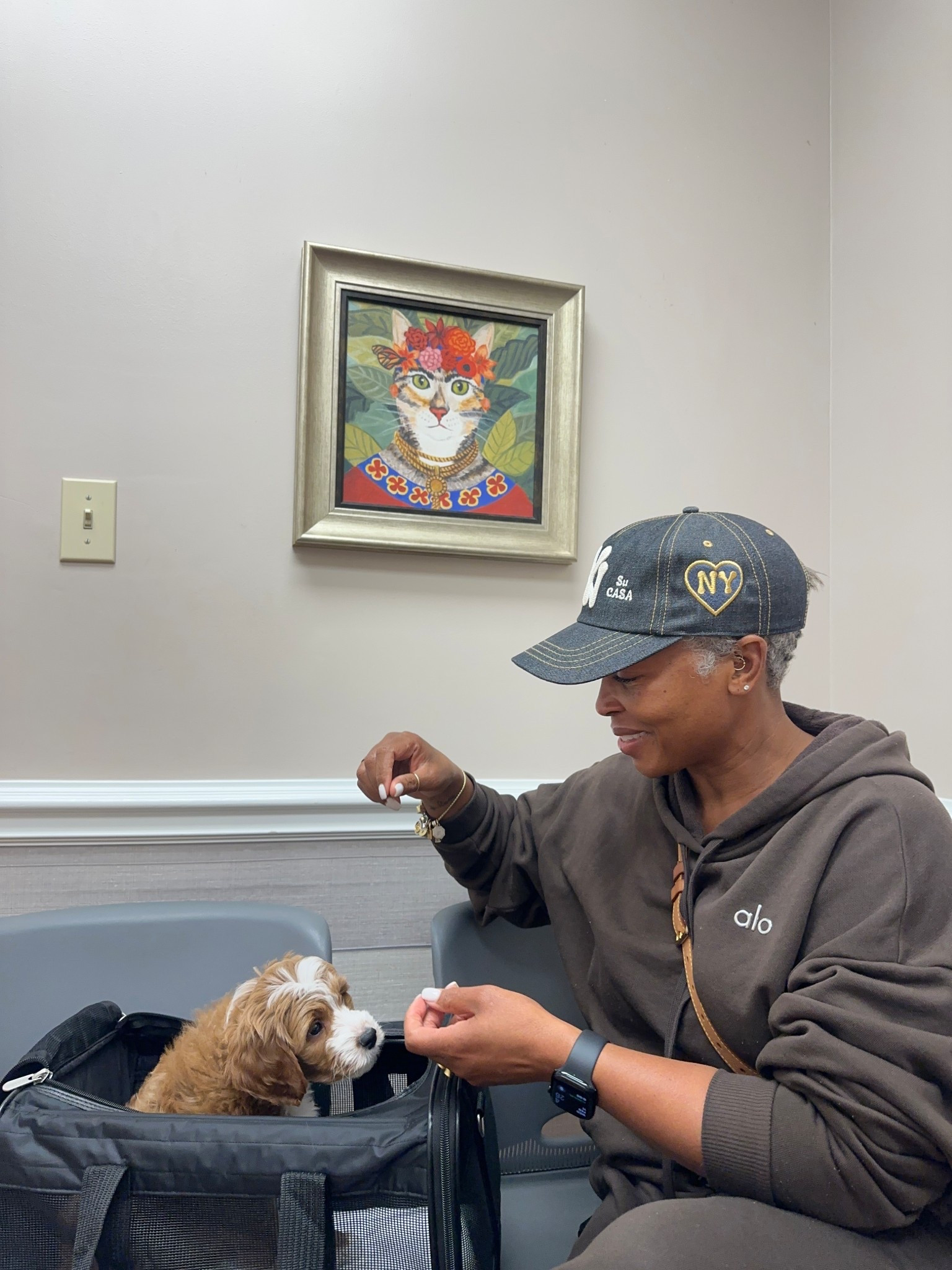 In good health! No heart murmur & both ‘man parts’ 

#DogTreats #PetTravelEssentials #DogMomLove #xoJalonda #PetEssentials

#LTKselfcare #LTKmomlife #LTKTravel