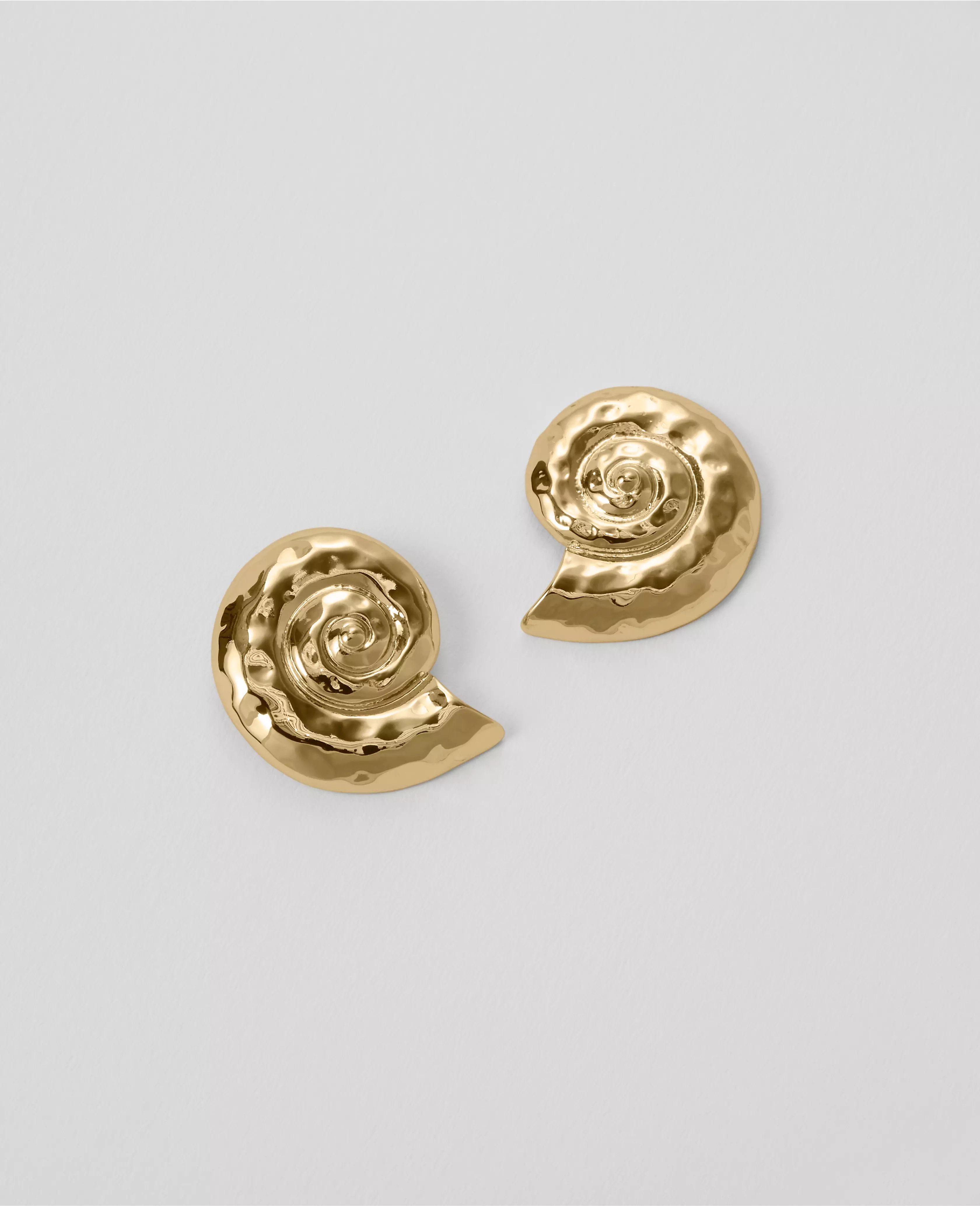 Textured Shell Stud Earrings | Ann Taylor