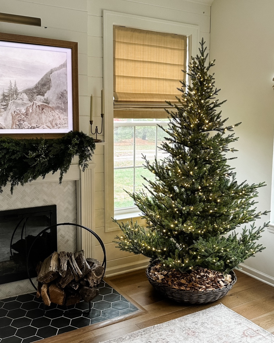 Favorite Christmas tree ever 💚

#LTKHoliday #LTKHome #LTKSeasonal