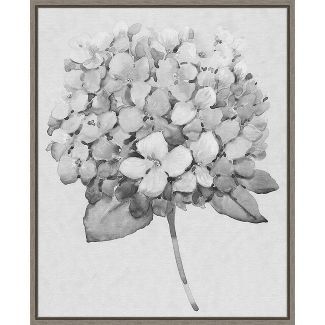 16" x 20" Silvertone Floral II by Tim Otoole Framed Wall Canvas - Amanti Art | Target