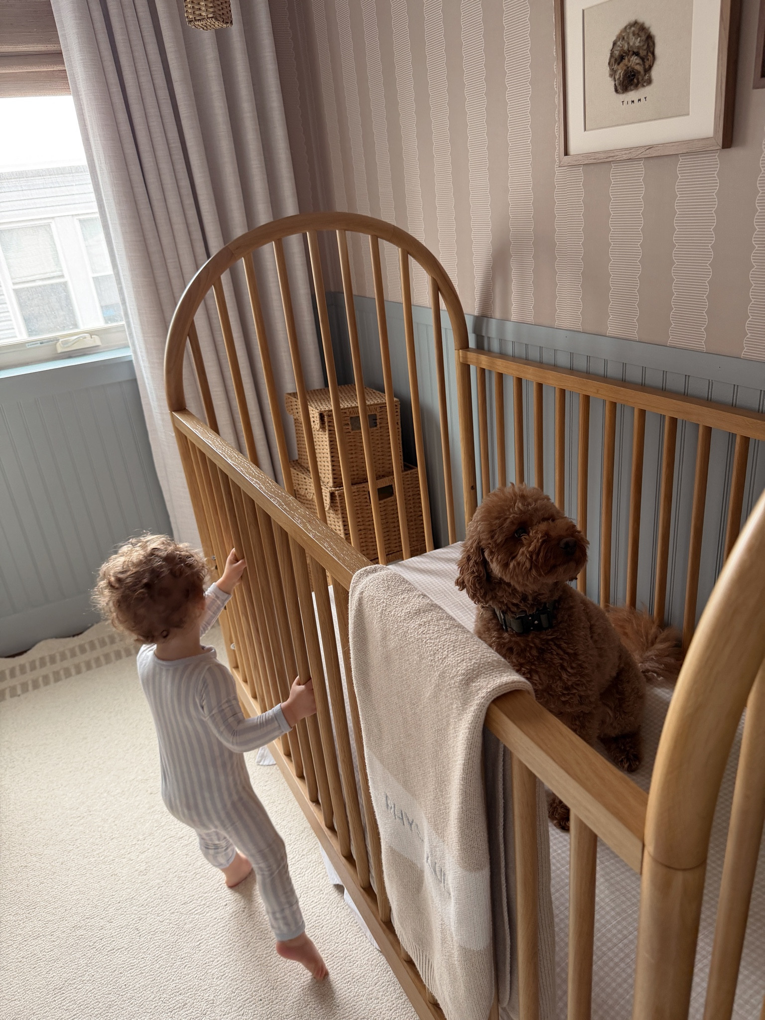 A boy and his dog 🤍 baby boy nursery, toddler boy room 

#LTKHome #LTKBaby