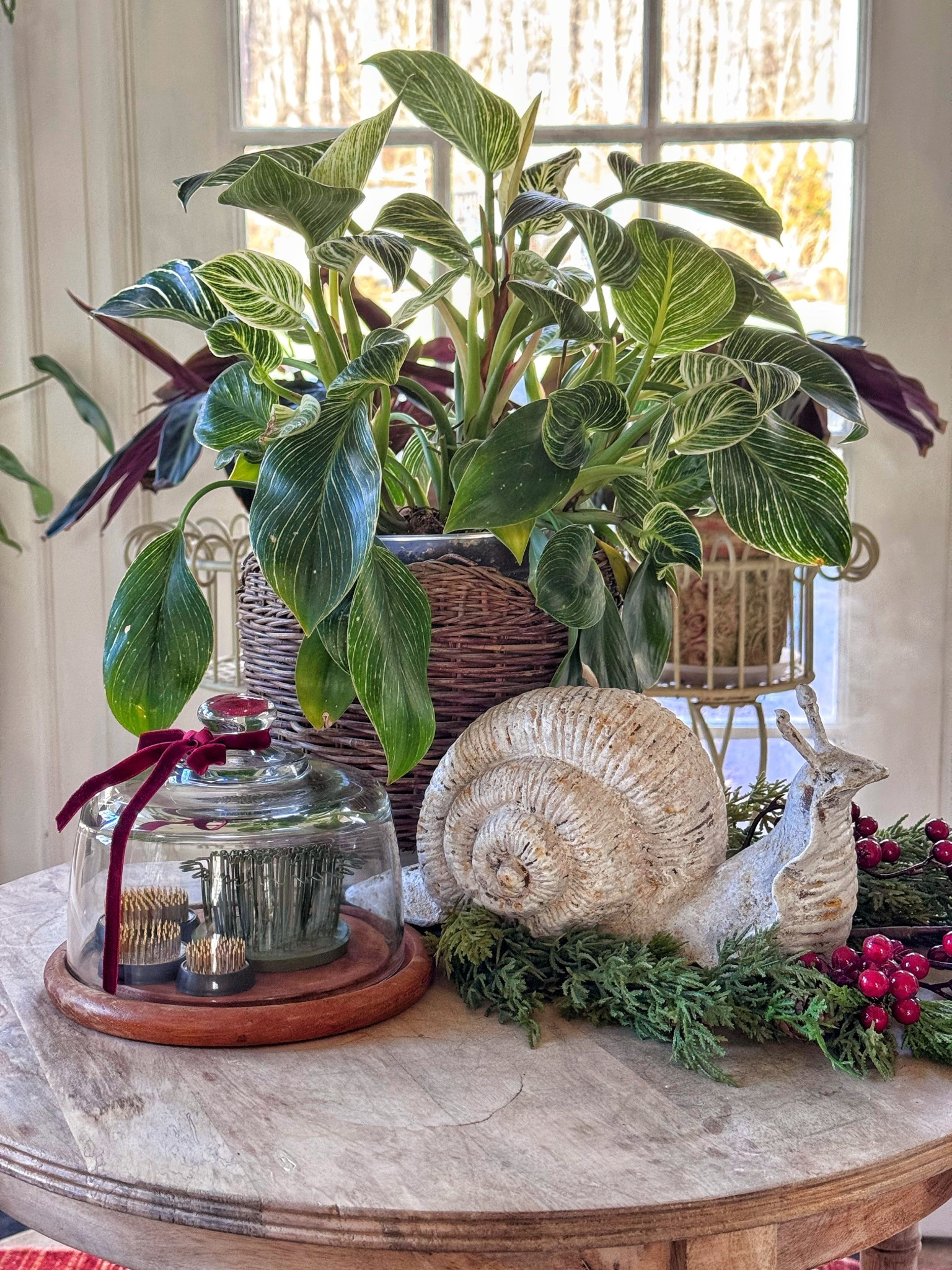 Plant vignette for the holidays 🪴✨

Flower frogs, cloche, garden decor, houseplant, philodendron birkin, side table 

#LTKHoliday #LTKSeasonal #LTKHome