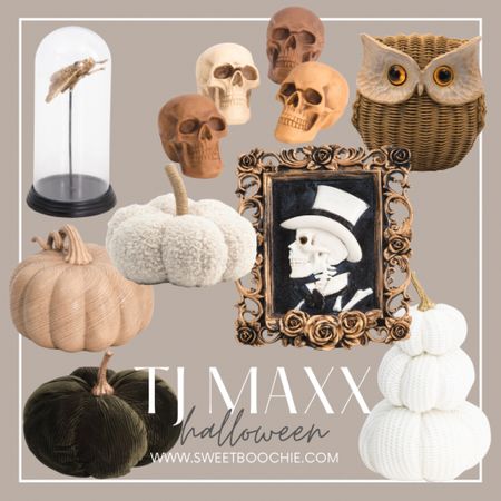 Neutral Halloween decor from TJ Maxx. Lots of textures with rattan owl, knit pumpkins, velvet pumpkins, boucle pumpkins, resin skulls and cloche gold insects. Great decor for shelf styling, entry way tables or fire place mantels. 


Halloween decor, fall decor

#LTKhome #LTKSeasonal #LTKFind
