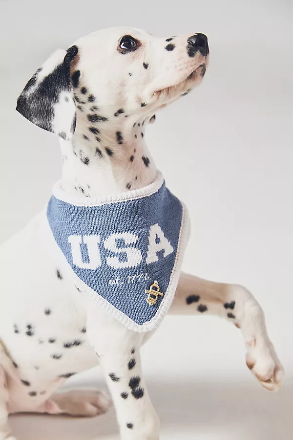 The Deluxe Pup Fourth of July Pet Bandana | Anthropologie (US)