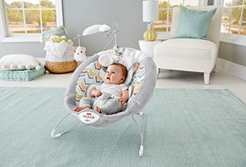 ​Fisher-Price Sweet Snugapuppy Deluxe Bouncer, Portable Bouncing Baby Seat with Overhead Mobile... | Amazon (US)