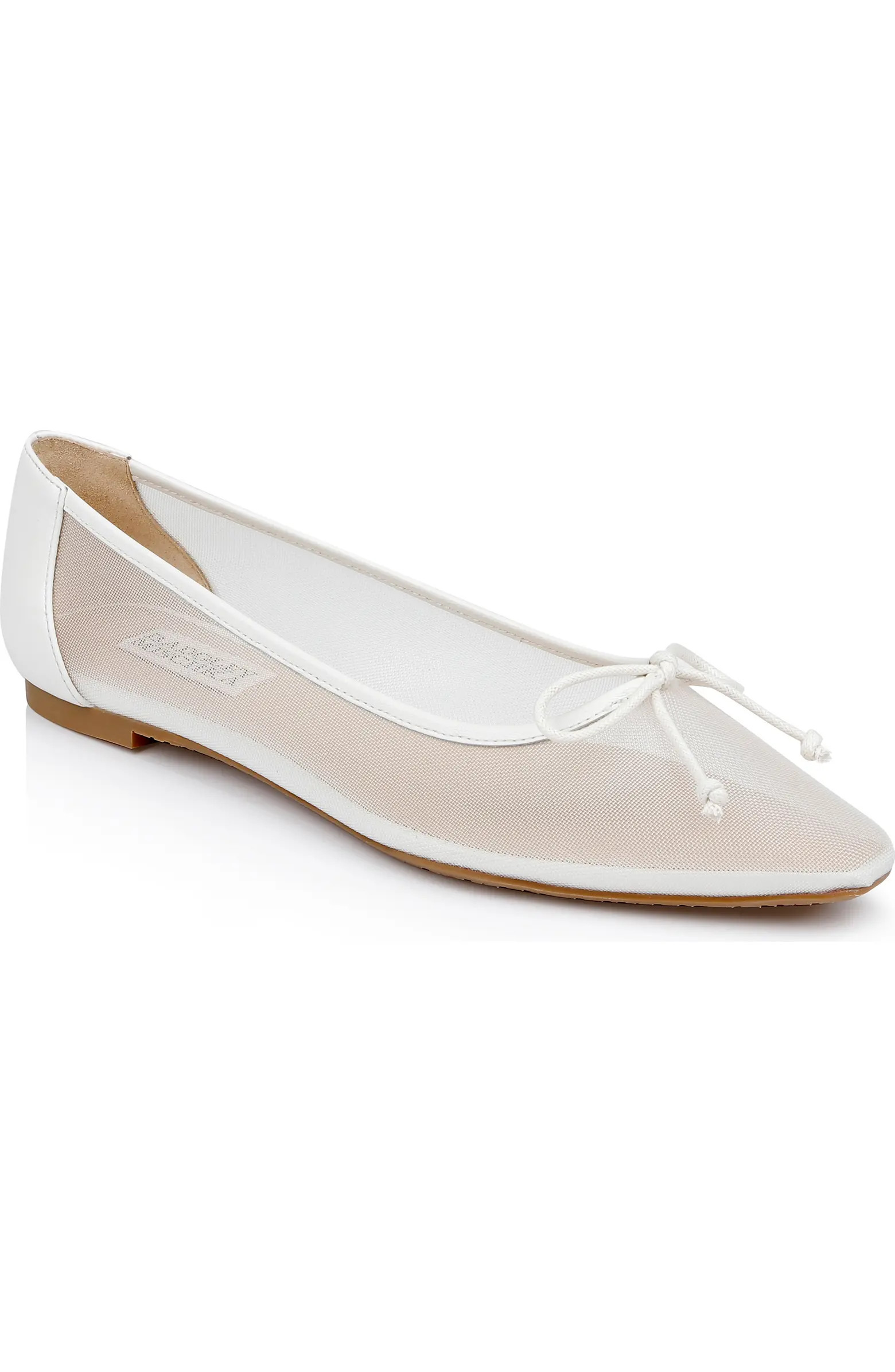 Badgley Mischka Collection Cam Pointed Toe Ballet Flat (Women) | Nordstrom | Nordstrom