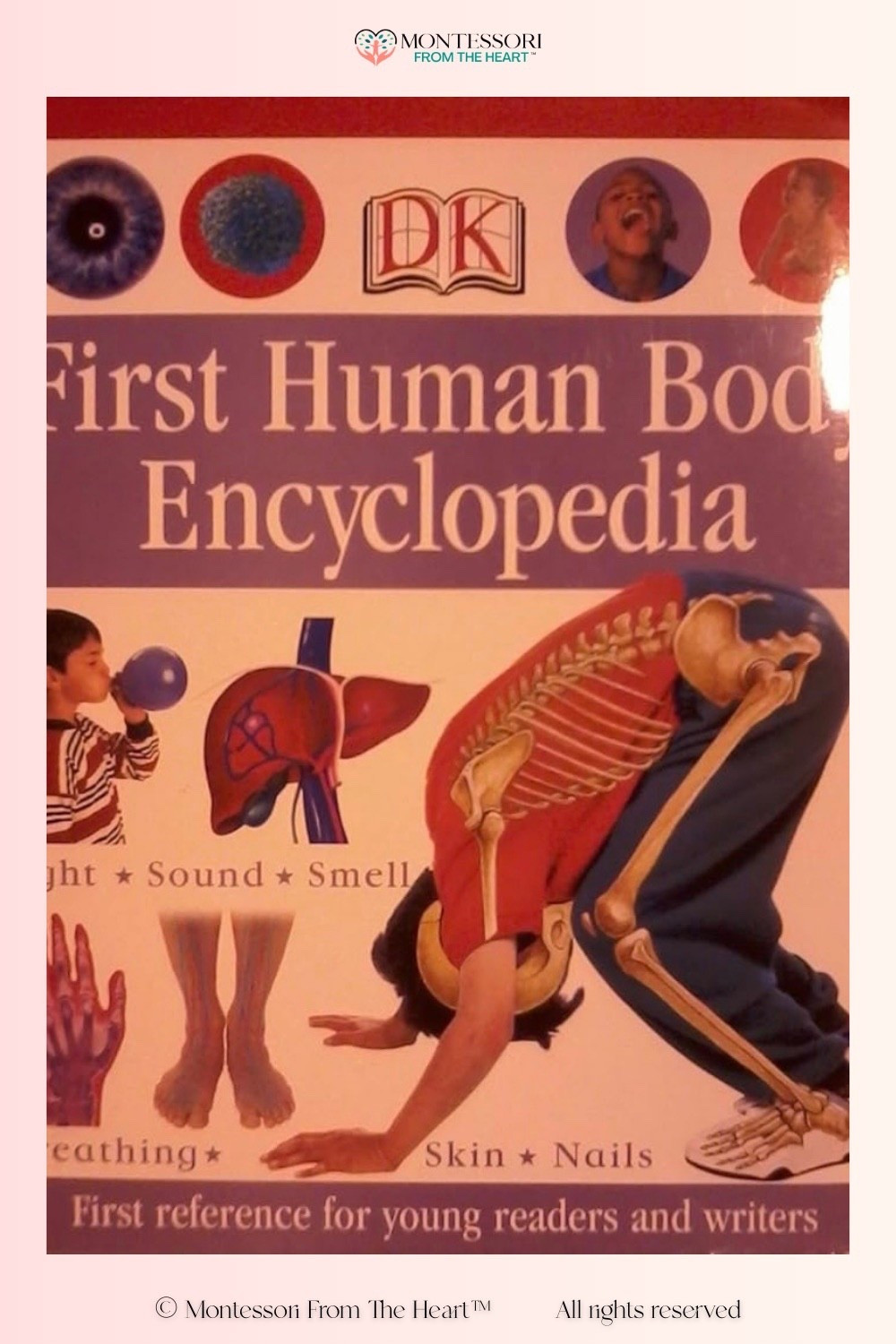 DK First Human Body Encyclopaedia 

#LTKHome #LTKstorytime #LTKKids