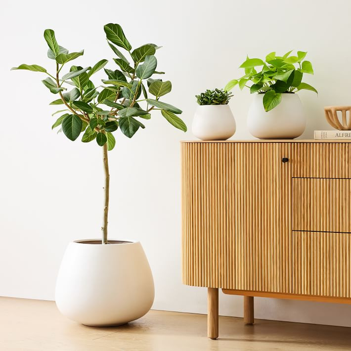 Pure Ceramic Planters | West Elm (US)