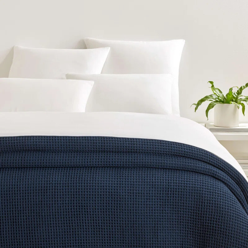 Braya 100% Cotton Throw Blanket | Wayfair North America