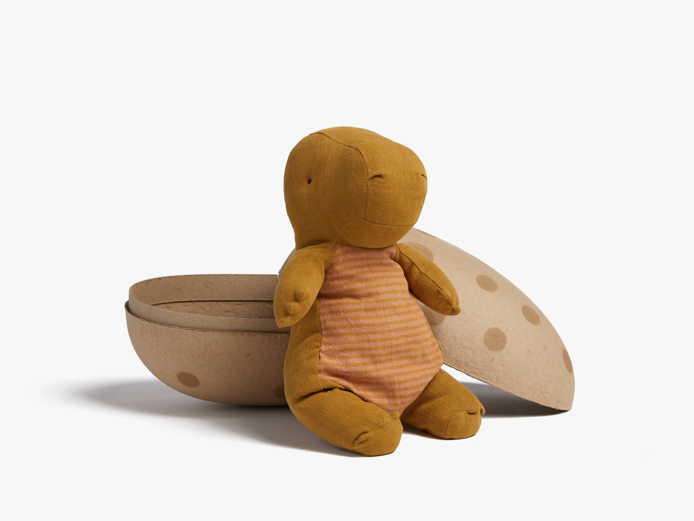 Gantosaurus in Egg | Parachute