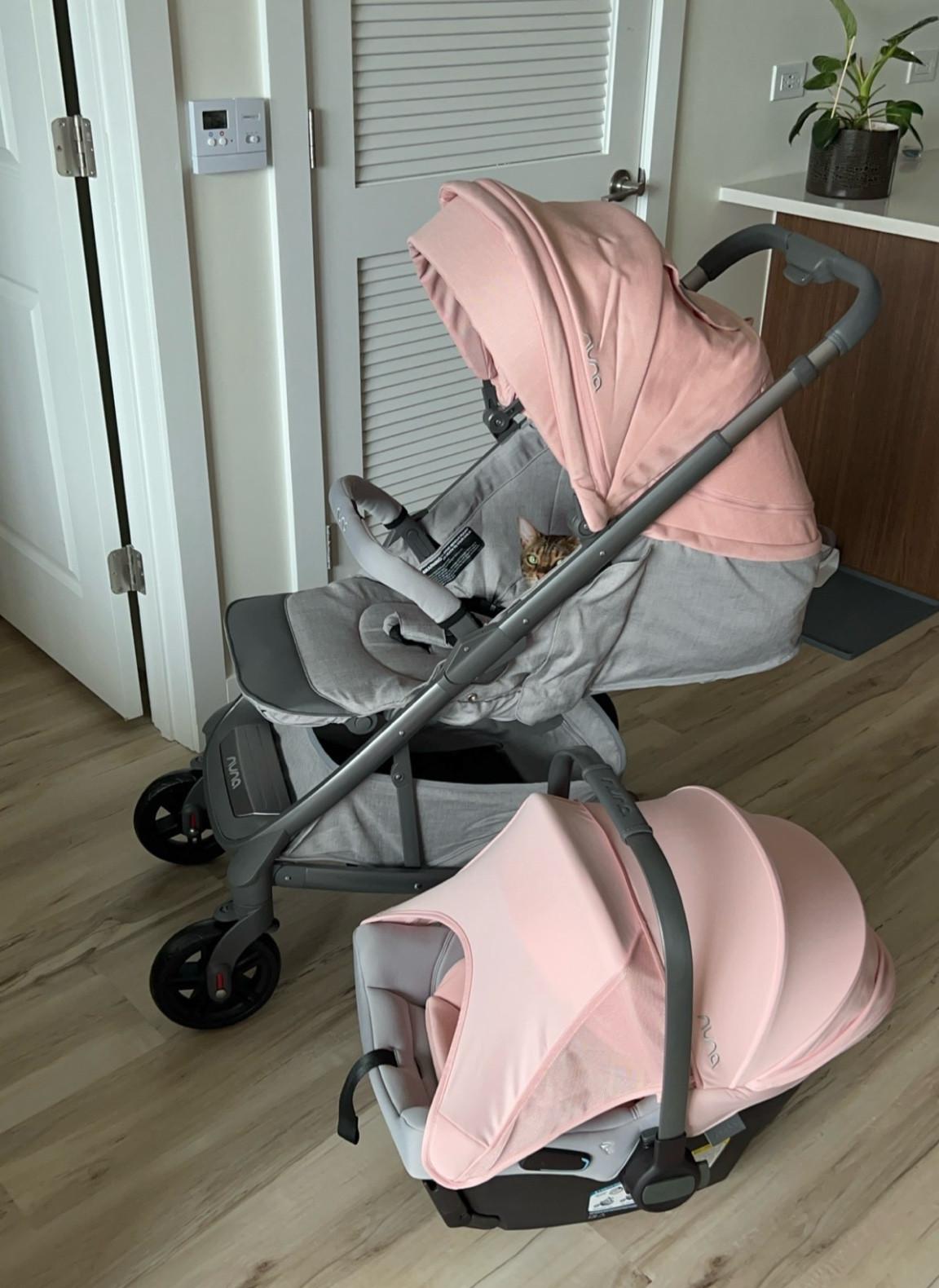 chicco twin stroller OHlala Twin Stroller