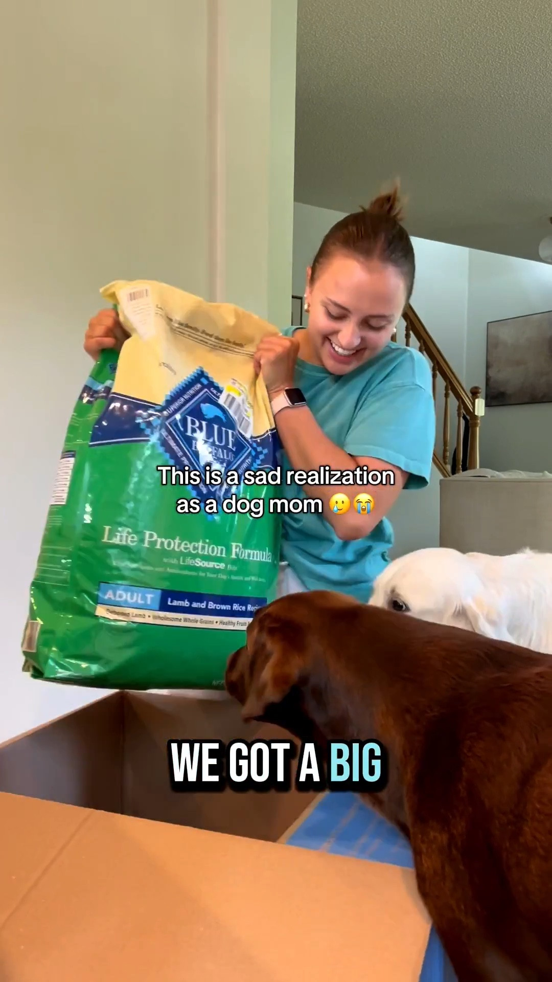 Always use an elevated dog food stand when you're feeding larger & taller dogs! I linked our same exact plastic stand in the color black for you to easily buy for your dog(s) too! 🐶🐾

The stands can improve posture, aid in digestion, and reduce strain on the neck, back, & joints.

#dogtips #dogfoodstand #dogfood 

#LTKFindsUnder50 #LTKPets