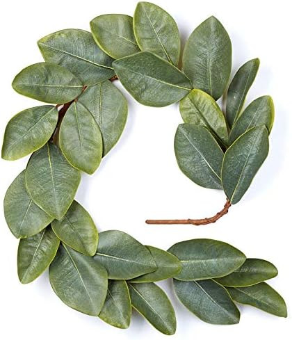 Natural Looking Williamsburg Magnolia Leaf Garland for Home Decor, Wedding and Holiday Decorating... | Amazon (US)