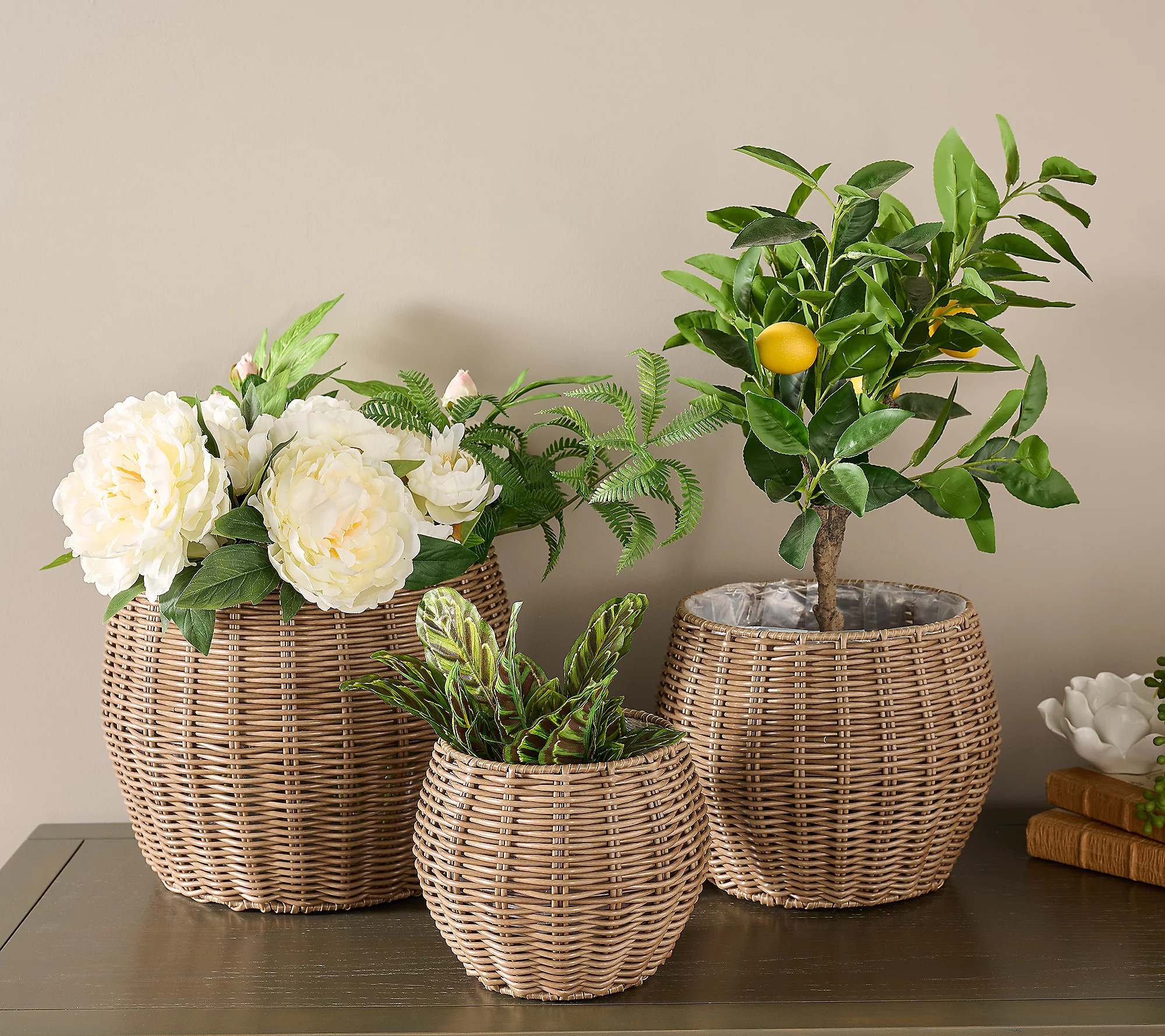 As Is Garden Reflections Set/3 Rattan Planters | QVC