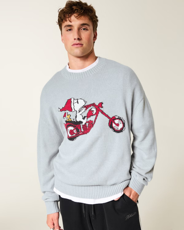 Boxy Snoopy Graphic Crew Sweater | Hollister (US)