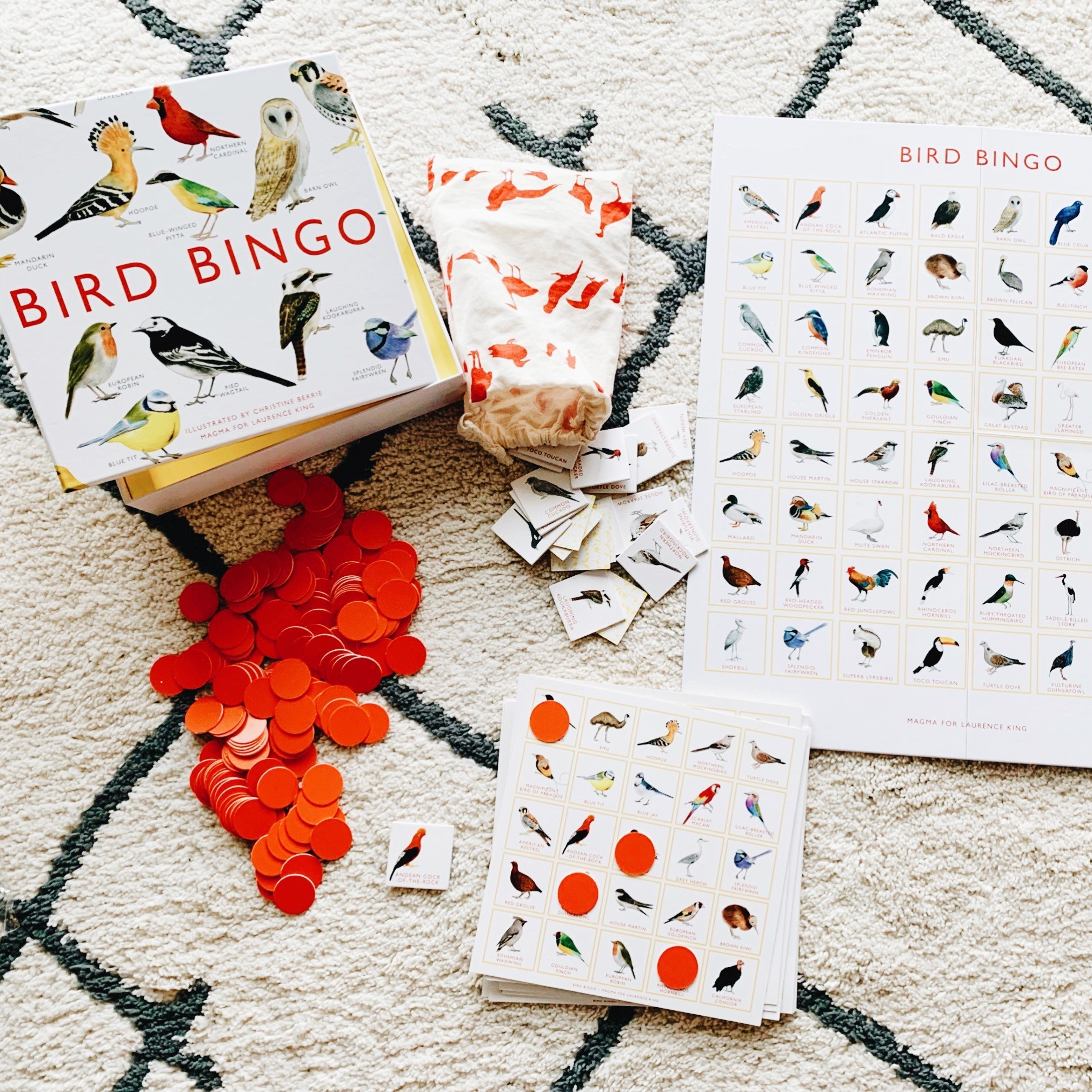 7 of our favorite themed bingo games! Bird, ocean, poop, national parks, dog and bug bingo! 

#LTKKids #LTKFindsUnder50 #LTKFamily