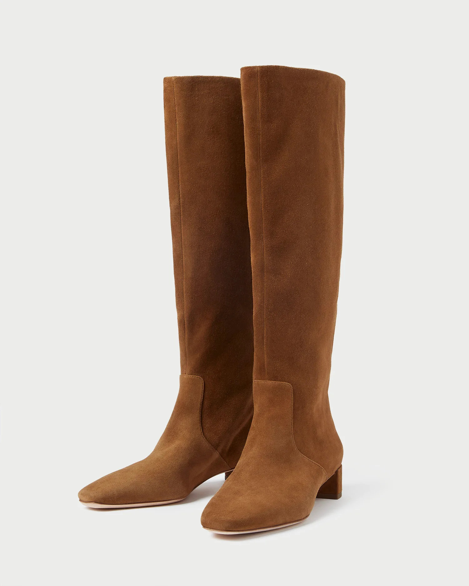 Indy Cacao Tall Boot | Loeffler Randall