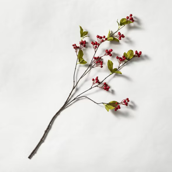 Faux Rosehip Stem - Hearth & Hand™ with Magnolia | Target