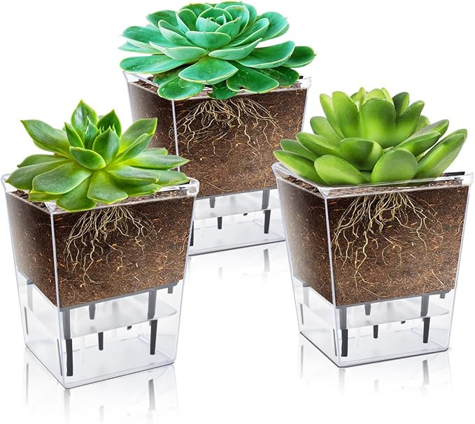 Self Watering Pots Set, 3 Pack 2.7 Inch Pots for Indoor Plants, Clear Nursery Planter with Deep R... | Amazon (US)