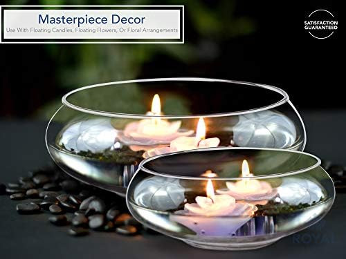 Royal Imports Flower Glass Vase, Bowl Terrarium Succulent Planter, Air Plant Display, Decorative Cen | Amazon (US)