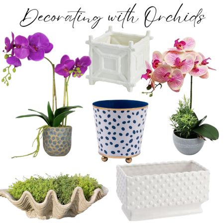 Add a touch of elegance and color to your home with orchids and a decorative container. Bamboo cachepot, blue and white spotted planter, hobnail planter, giant clam shell, faux orchids

#LTKstyletip #LTKhome