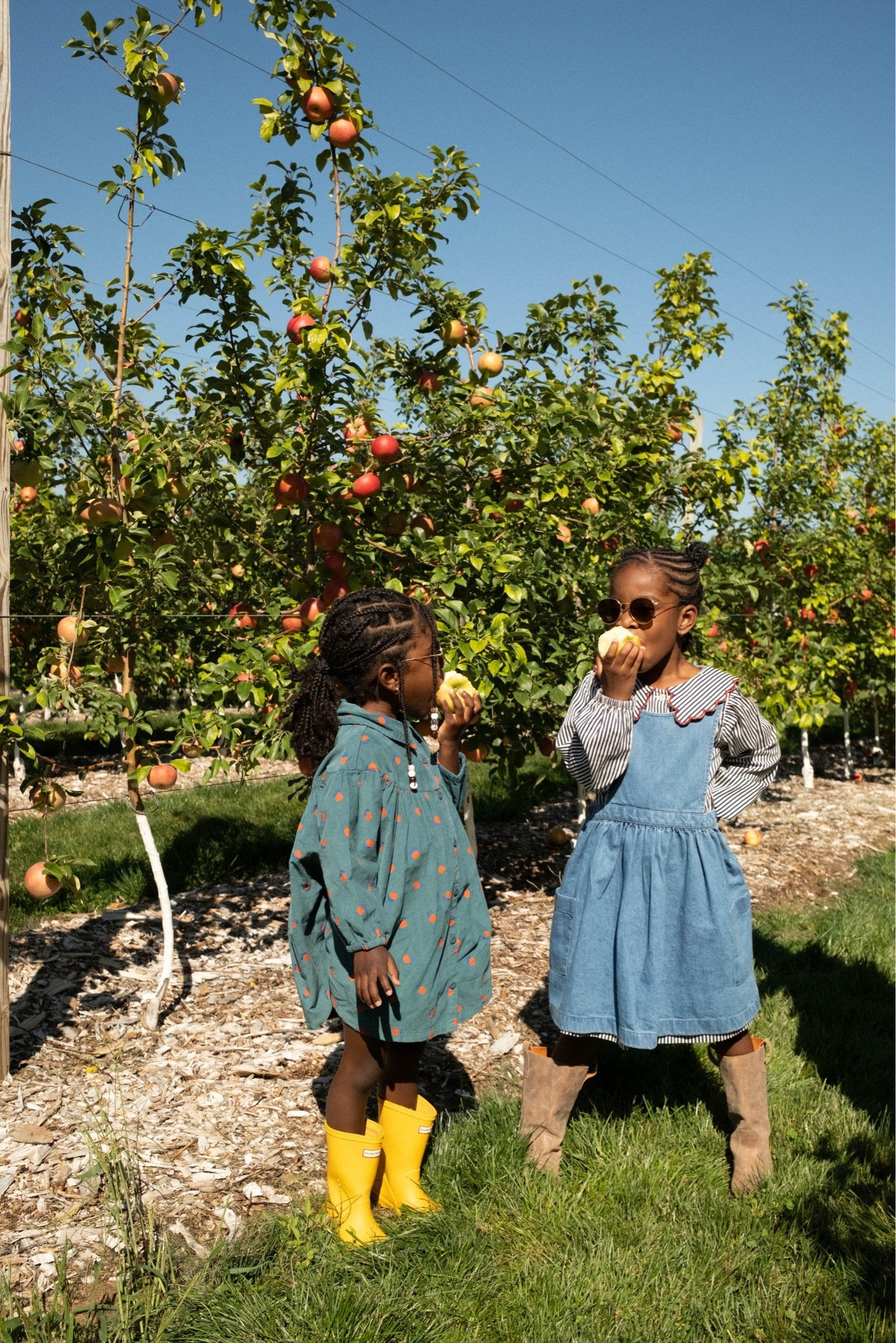 Girls apple picking outfit

#LTKKids #LTKootd
