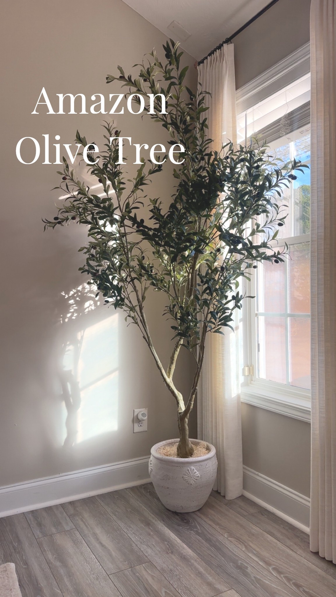 Olive Tree 7ft - Olive Trees Artificial Indoor with Large Olive Branches and Lifelike Fruits - Faux Olive Tree for Modern Home Office House Living Room Decor

#LTKFindsUnder100 #LTKSeasonal #LTKHome