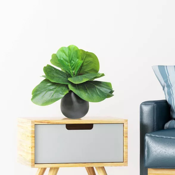 15" x 12" Artificial Fig Plant in Ceramic Vase Black - LCG Florals | Target