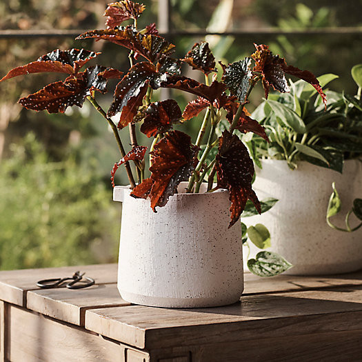 Speckle Knob Planter, 6" | Terrain