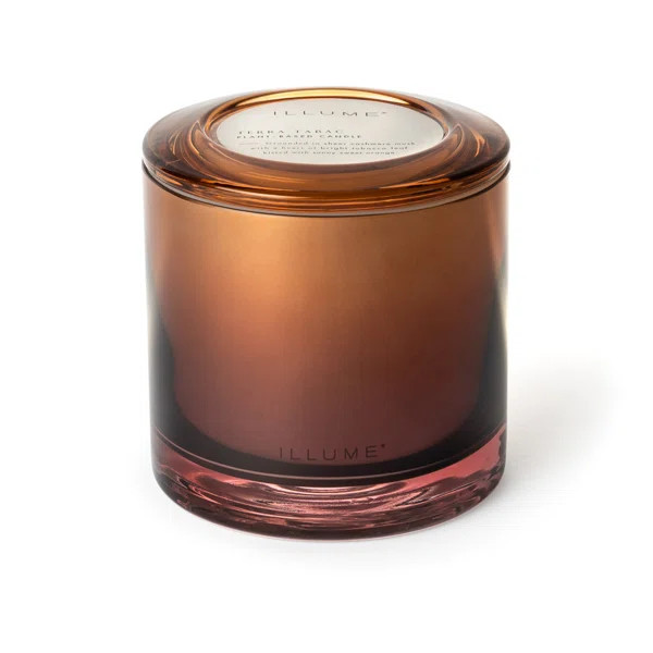 ILLUME Beautifully Done Essentials Terra Tabac Statement Glass Scented Candle | Wayfair North America