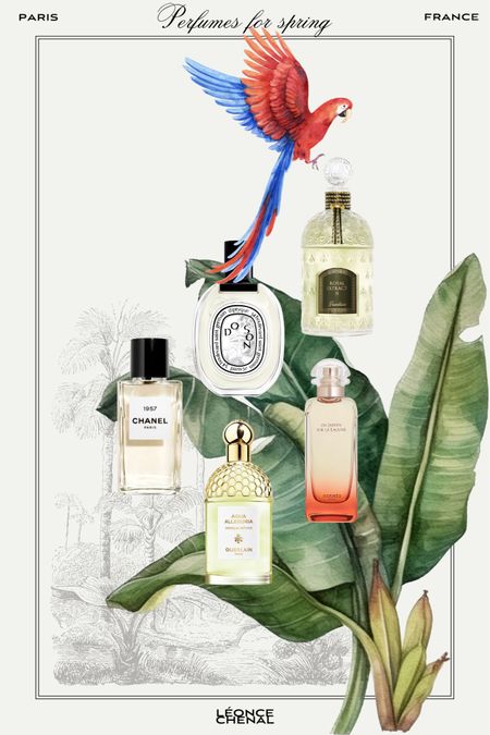 5 Exquisite French Perfumes for Spring 2024

1. Diptyque Do Son Eau de Toilette
2. Guerlain Anniversary Edition Royal Extract II Parfum
3. Chanel Les Exclusifs 1957
4. Hermès Un Jardin sur la Lagune
5. Guerlain Aqua Allegoria Nerolia Vetiver Eau de Toilette

#LTKSeasonal #LTKbeauty #LTKeurope