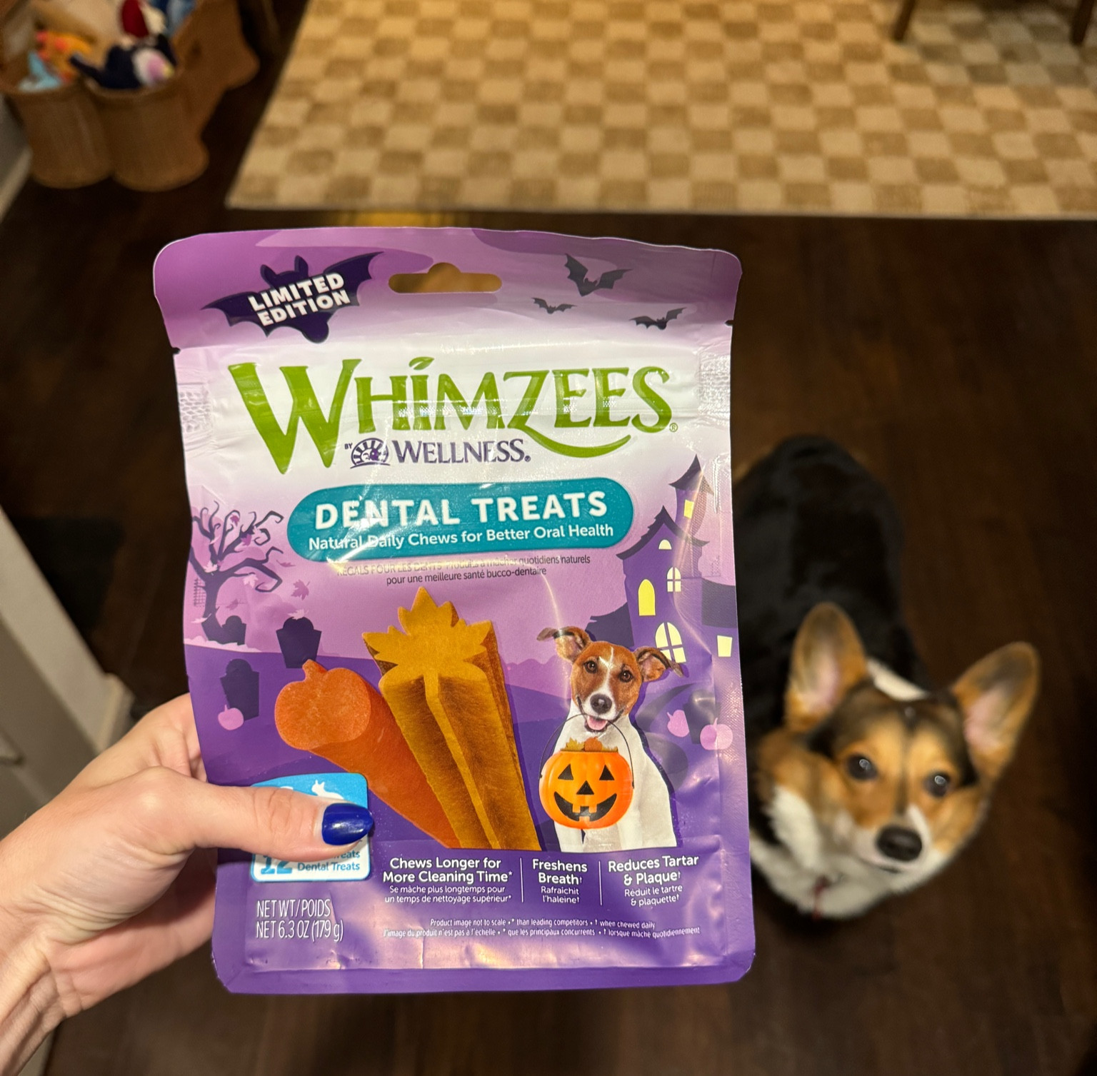 Halloween dental chews from Whimzees 👻🎃 

#LTKHalloween #LTKSeasonal #LTKHoliday