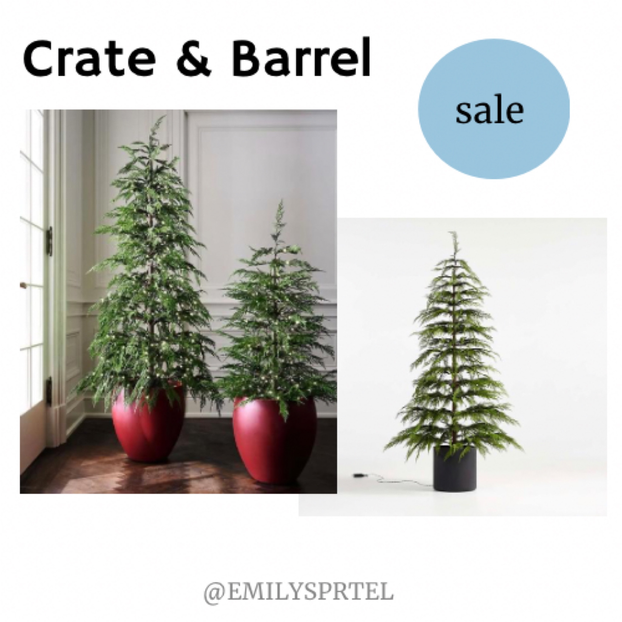 Crate & Barrel Fall Event Sale! 
Cutie faux Christmas trees. 

Faux Potted Hemlock Large Pre-Lit LED Christmas Tree with White Lights 6'
$399

#LTKHoliday #LTKhome #LTKsalealert