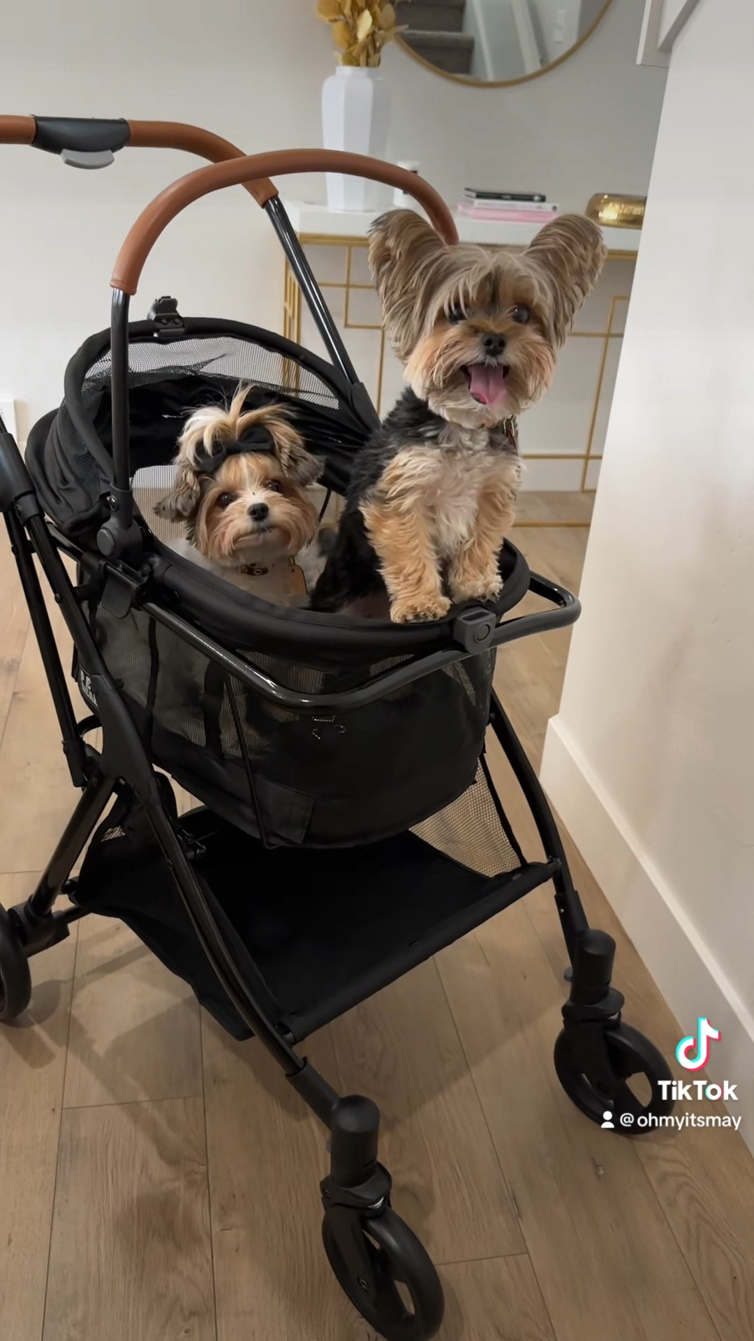 #dogmom #dogstroller

#LTKfamily #LTKFind #LTKtravel