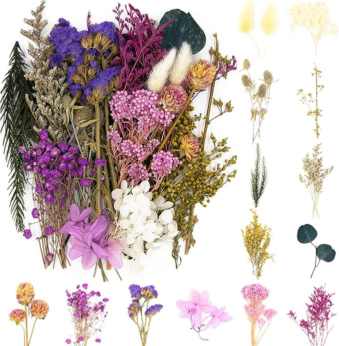 Vignee Real Dried Pressed Leaf Flowers-Multiple Colorful Pressed Flowers Daisies for Craft Resin ... | Amazon (US)