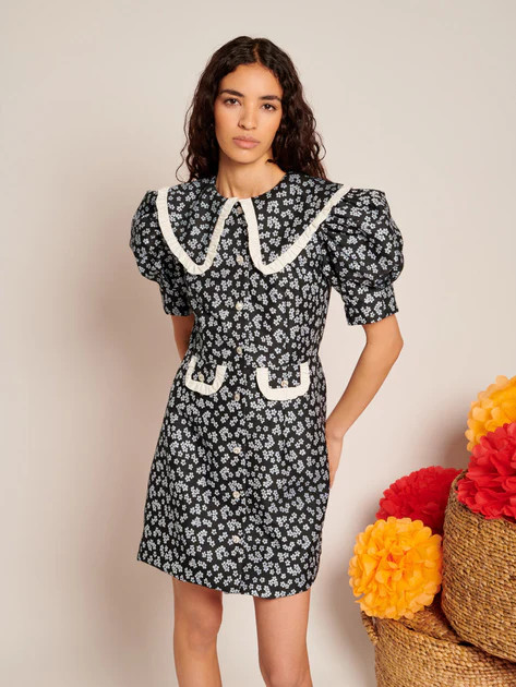 Ditsy Jacquard Mini Dress | Sister Jane (UK)