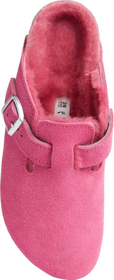 Boston Genuine Shearling Lined Clog (Women) | Nordstrom