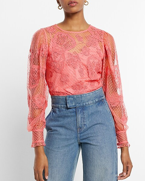 Lace Long Sleeve Crew Neck Top | Express
