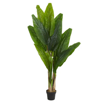 6’ Triple Stalk Banana Artificial Tree | Nearly Natural
